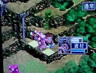 速攻さくら.jpg 速攻さくら.jpg